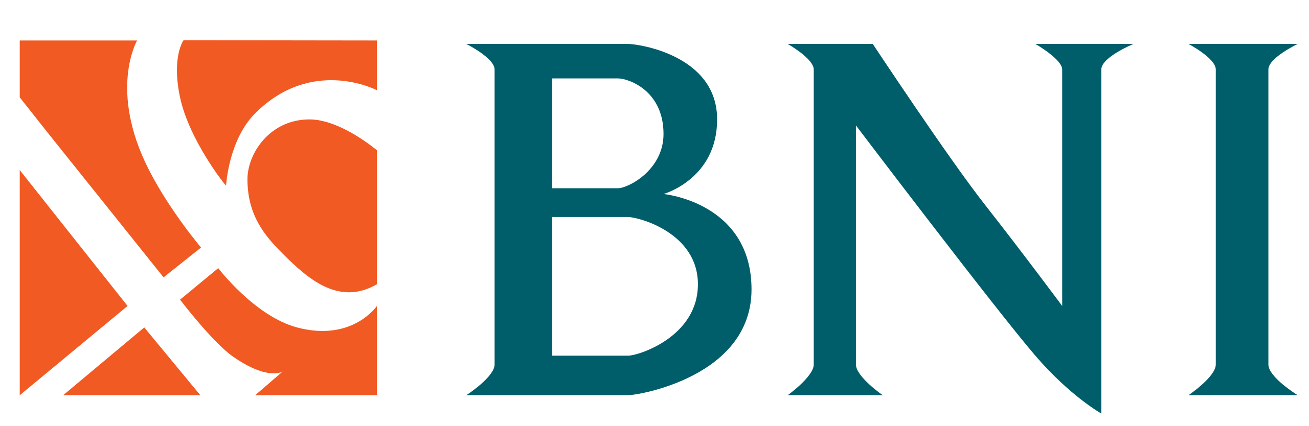 2560px-BNI_logo.svg (1)